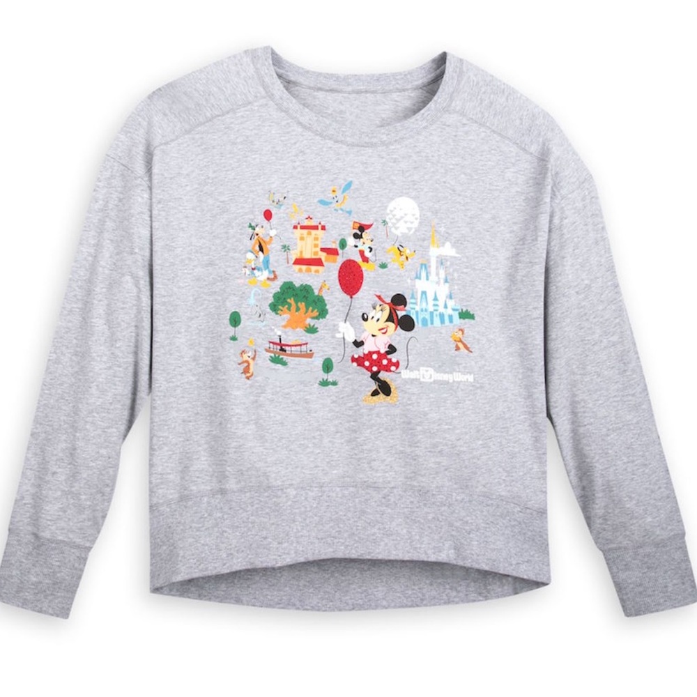 Disney Parks Gray Graphic Sweatshirt